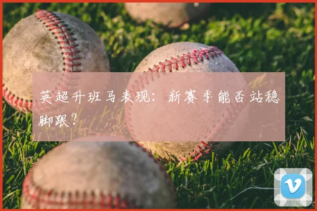 英超升班马表现:新赛季能否站稳脚跟?