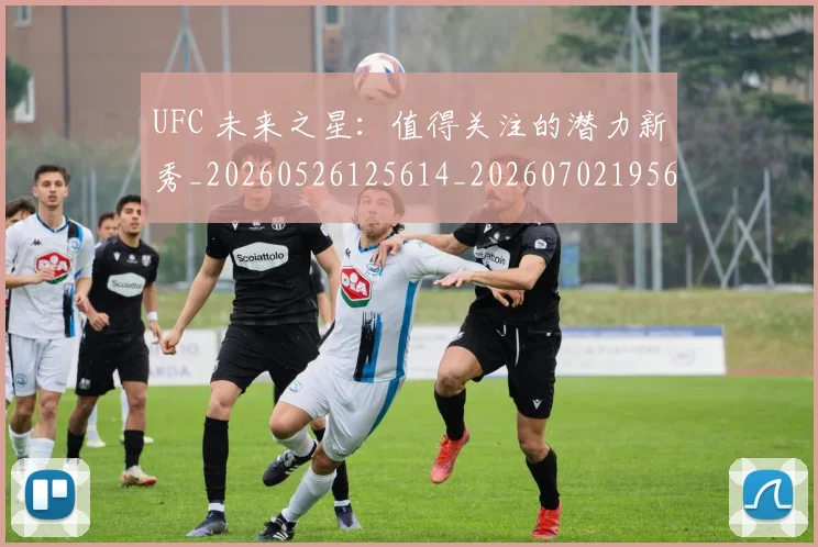 UFC 未来之星：值得关注的潜力新秀_20260526125614_20260702195626