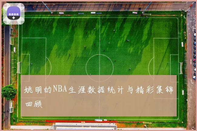 姚明的NBA生涯数据统计与精彩集锦回顾