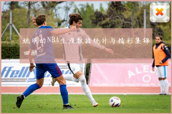 姚明的NBA生涯数据统计与精彩集锦回顾